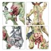 Maggotkin of Nurgle Plaguebearers – Image 4