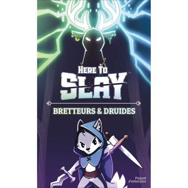 Here to Slay Bretteurs et Druides