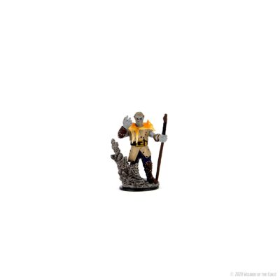 D&D Icons of the Realms Premium Figures - Firbolg Druid